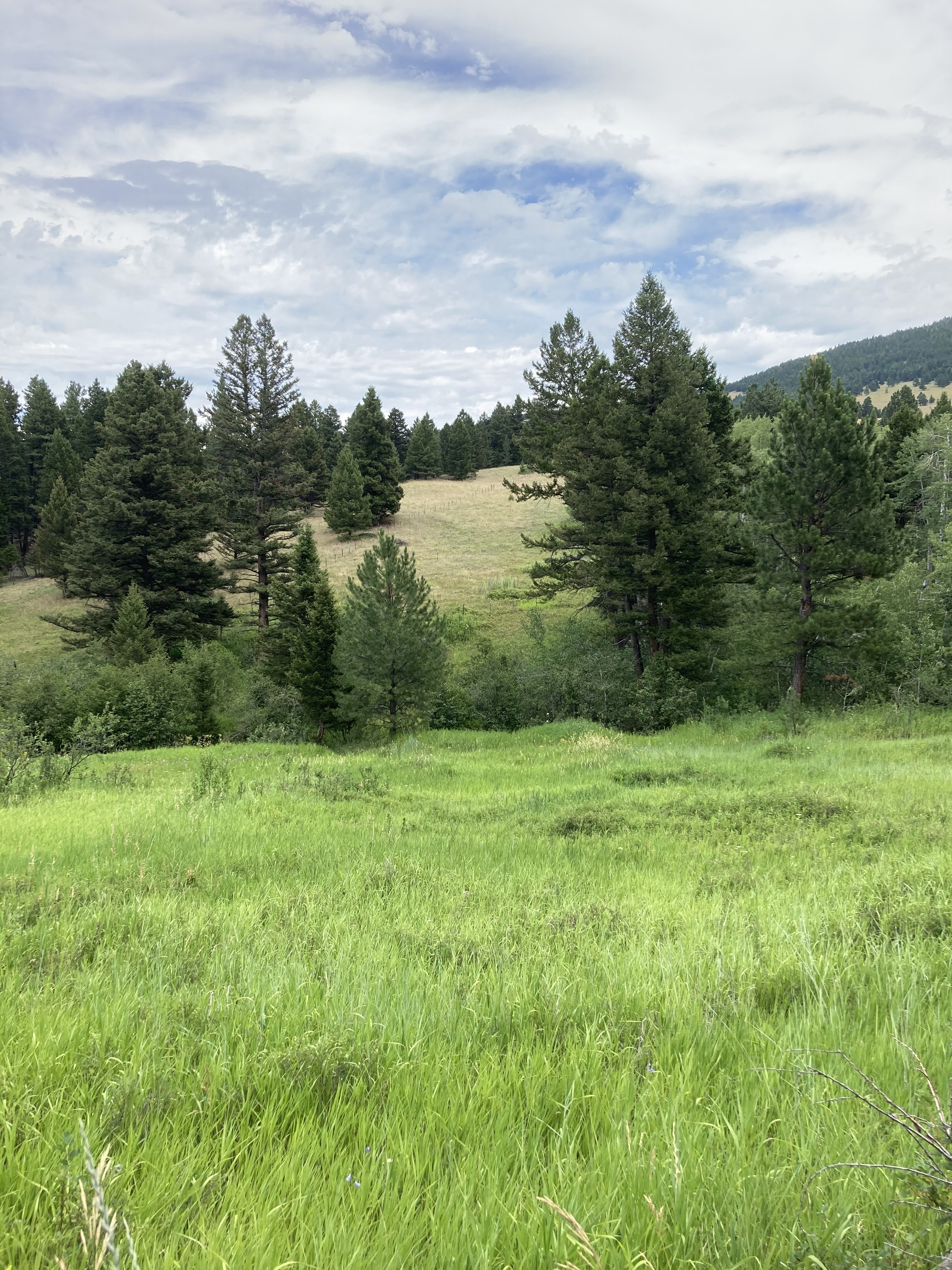 Kokoruda Ranch Block Management